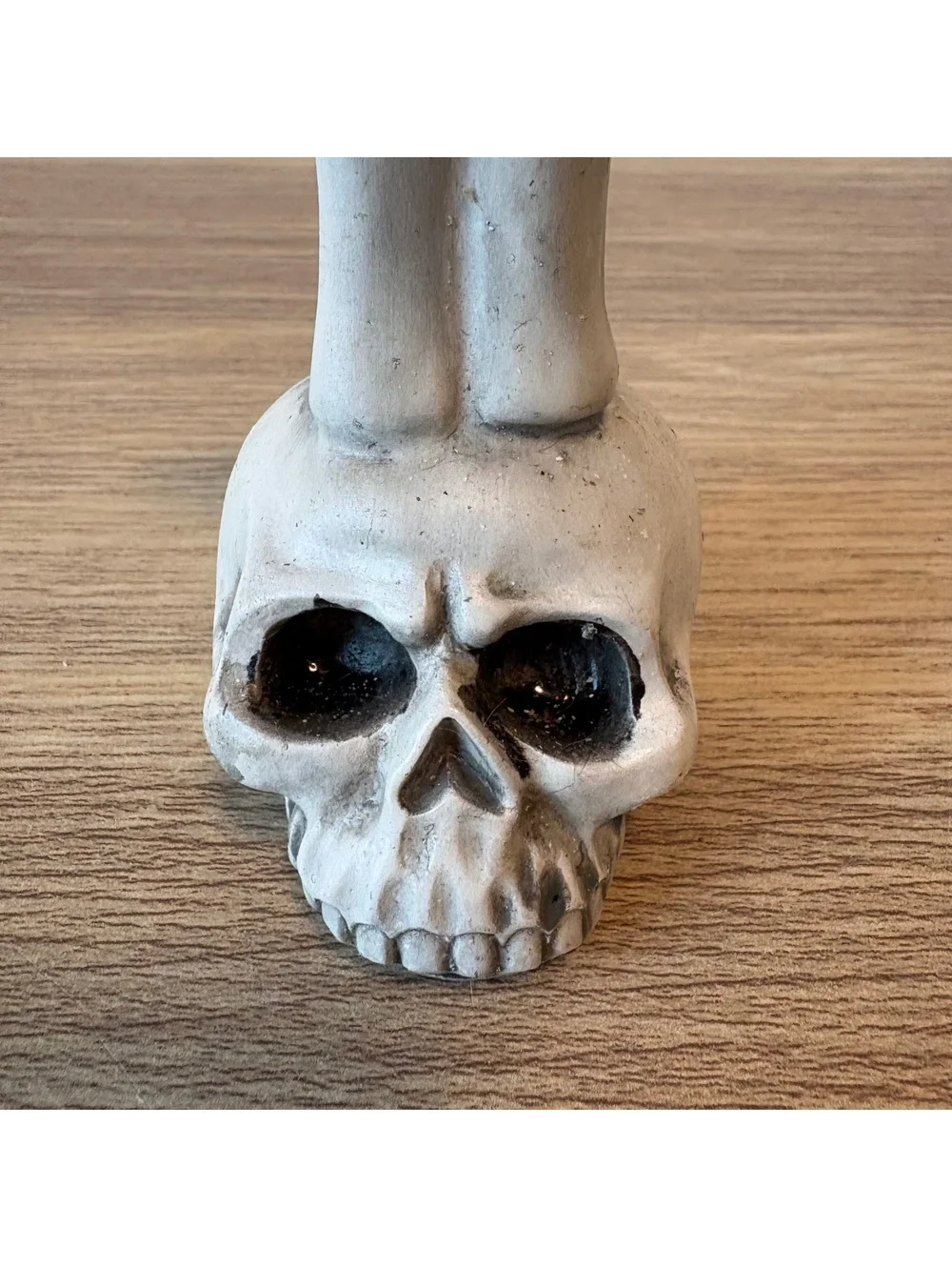 Skull Skeleton Halloween Decor Candle Holder